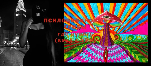 мяу мяу кристалл Богданович