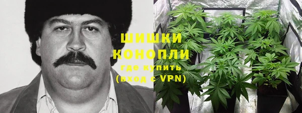 мяу мяу кристалл Богданович