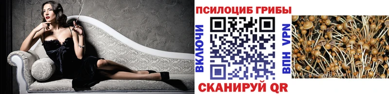 где купить   kraken как войти  Галлюциногенные грибы Psilocybe  Коркино 